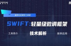 swift结构,什么是Swift结构？