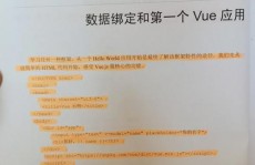 vue上传文件,从根底到进阶