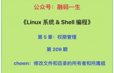 linux修正文件所属用户和组, 什么是文件一切者和所属组