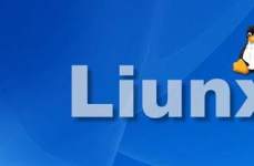 linux怎么,从根底到实践，轻松把握Linux体系