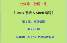 linux给用户赋予权限, 文件权限