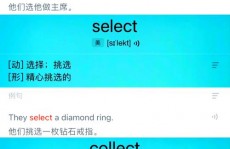 vue获取select选中的label值, 了解Select组件的根本用法