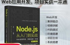 nodejs数据库,浅显易懂Node.js数据库运用开发