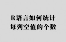 r言语核算,R言语在核算学中的运用与优势