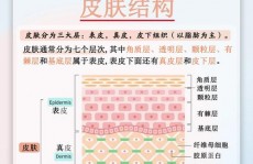 css半通明, 半通明作用的基础知识