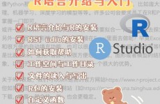 r言语 cor,深化解析及其运用