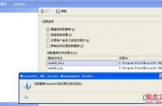 sqlserver数据库复原,SQL Server数据库复原概述