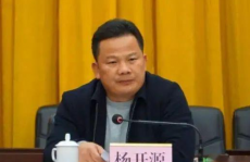 兴业县长杨开源,玉林市兴业县原县长杨开源承受纪律检查和督查查询