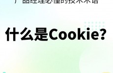 vue获取cookie, 什么是Cookie