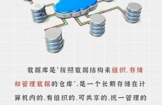 抖音数据库,架构、优化与应战