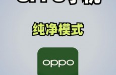 oppo手机开发者形式,什么是OPPO手机开发者形式？