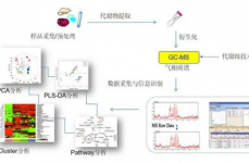 代谢组学数据库,生物信息学的重要东西