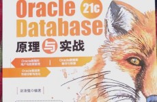 oracle业务,根底、办理与运用