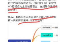 go什么意思中文,Go言语及其在编程范畴的运用