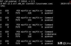 linux检查pid对应的进程,什么是PID？