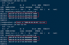 常用linux体系,常用指令与操作技巧