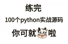 python解说器是什么,编程国际的翻译官