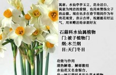 水仙花数python,什么是水仙花数？