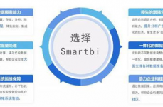 大数据剖析服务,大数据剖析服务的概述