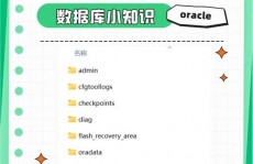 oracle数据库类型,Oracle数据库简介