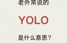 机器学习yolo,什么是YOLO？