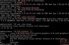linux查询版别,Linux体系版别查询攻略