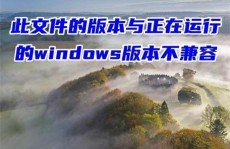 此文件的版别与正在运转的windows版别不兼容,处理“此文件的版别与正在运转的Windows版别不兼容”问题的全面攻略