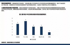 足球大数据剖析,揭秘现代足球的才智革新