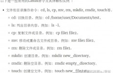 linux指令操练