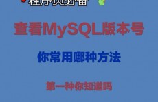 怎么看mysql版别,怎么检查MySQL版别