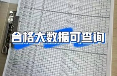 大数据分数怎样查,大数据分数怎么查询——全面攻略