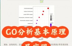 骑缘go,骑缘Go——探究骑行与科技交融的新篇章