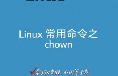 linux修正文件夹所属用户,linux修正文件夹所属用户和组