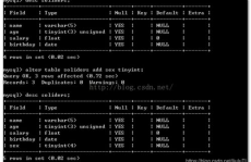 mysql数据库规划,MySQL数据库规划的重要性