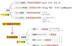 r言语 检查数据类型,怎么检查数据类型