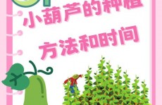 小葫芦大数据,直播电商年代的才智引擎