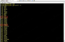 linux杀死进程,什么是进程？