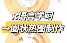 r言语热力求,从根底到进阶