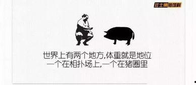 娱乐吃瓜群文案搞笑版,笑料百出，瓜皮满天飞